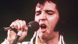 /album/kepgaleria-2-kezdolapon-mindenbol/elvis-p-1-jpg/